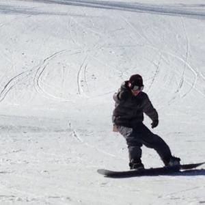 Meet your Posher, Joey